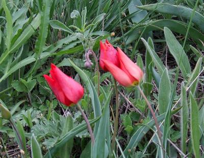 Прикрепленное изображение: 304.jpg